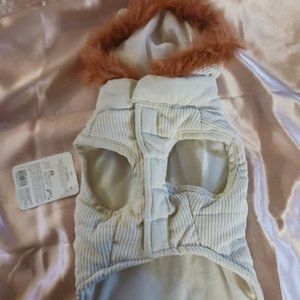 Youly the trailblazer dog vest